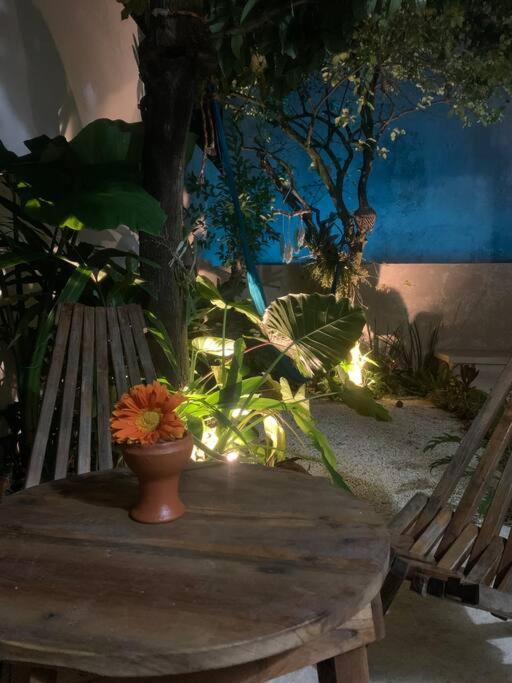 Private Full House With Pool And Cozy Patio Villa Valladolid  Exterior foto