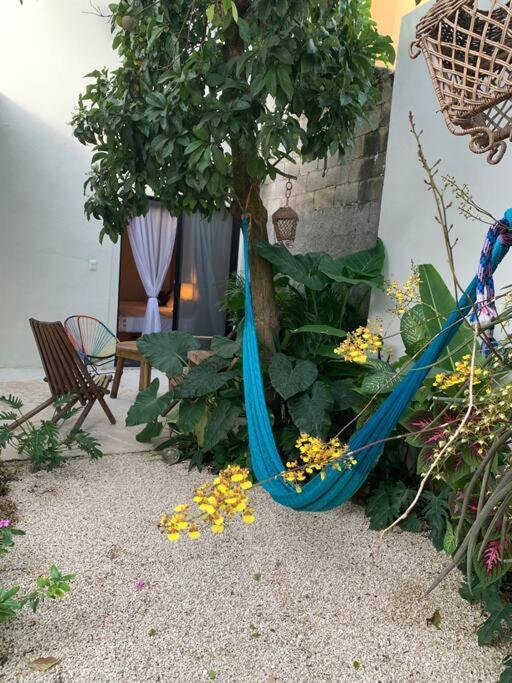 Private Full House With Pool And Cozy Patio Villa Valladolid  Exterior foto