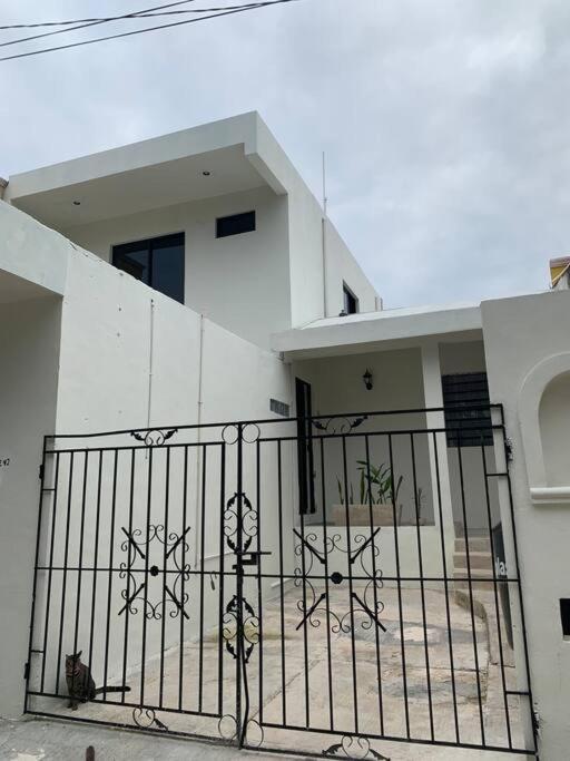 Private Full House With Pool And Cozy Patio Villa Valladolid  Exterior foto